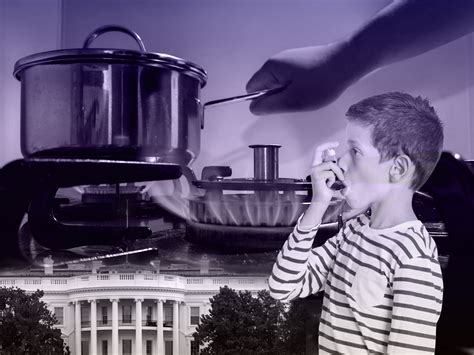 gas stoves republican